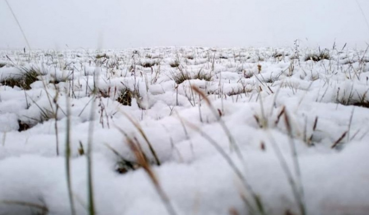 Цаг агаарын аюултай үзэгдлээс сэрэмжлүүлж байна